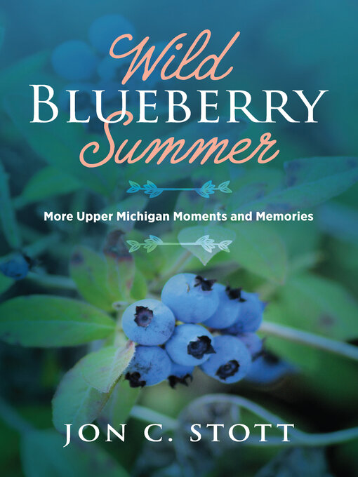Title details for Wild Blueberry Summer by Jon C. Stott - Available